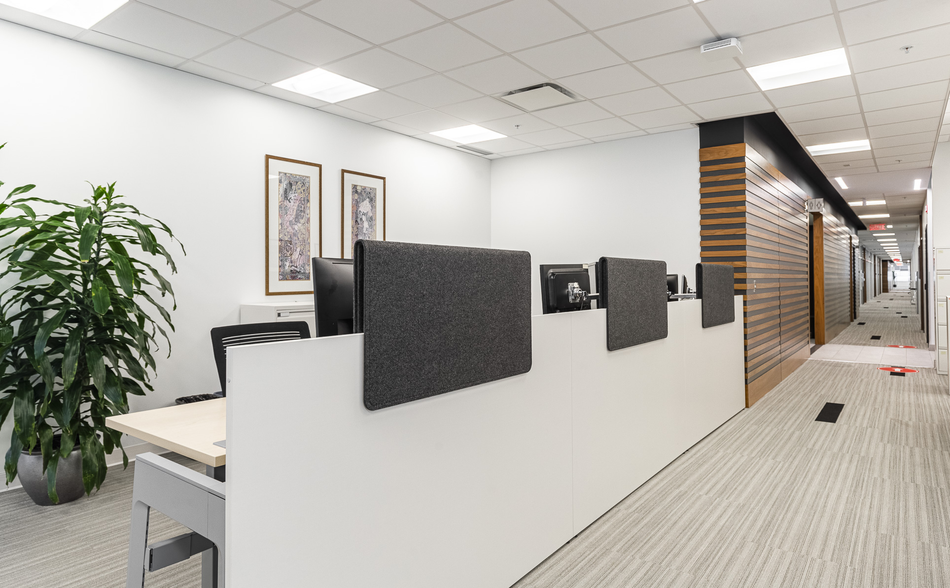 Nouvel aménagement des bureaux de Métro division pharmacie par la firme de design intérieur Espazio